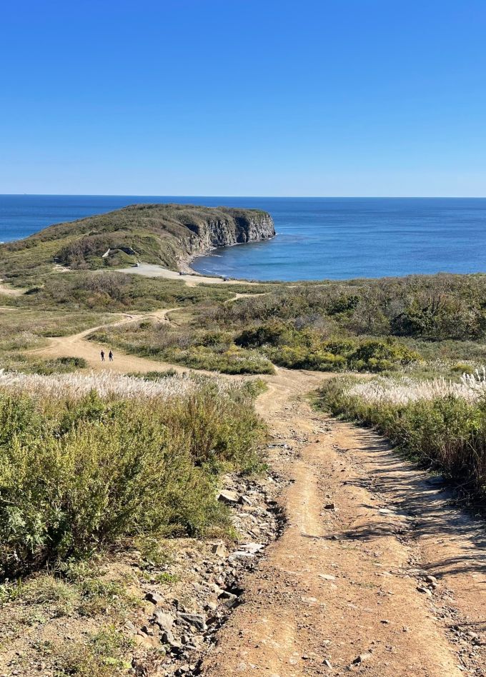 Тайны острова Русский за 5 часов