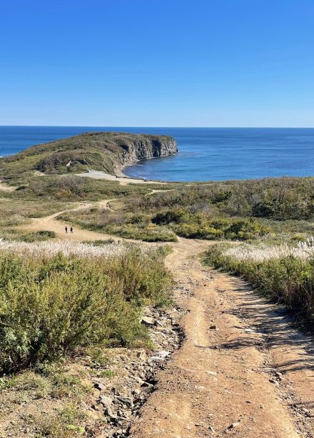 Тайны острова Русский за 5 часов