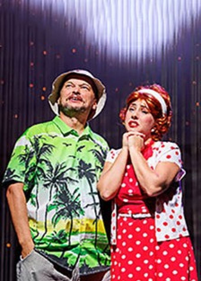 Спектакль «Любовь и голуби»