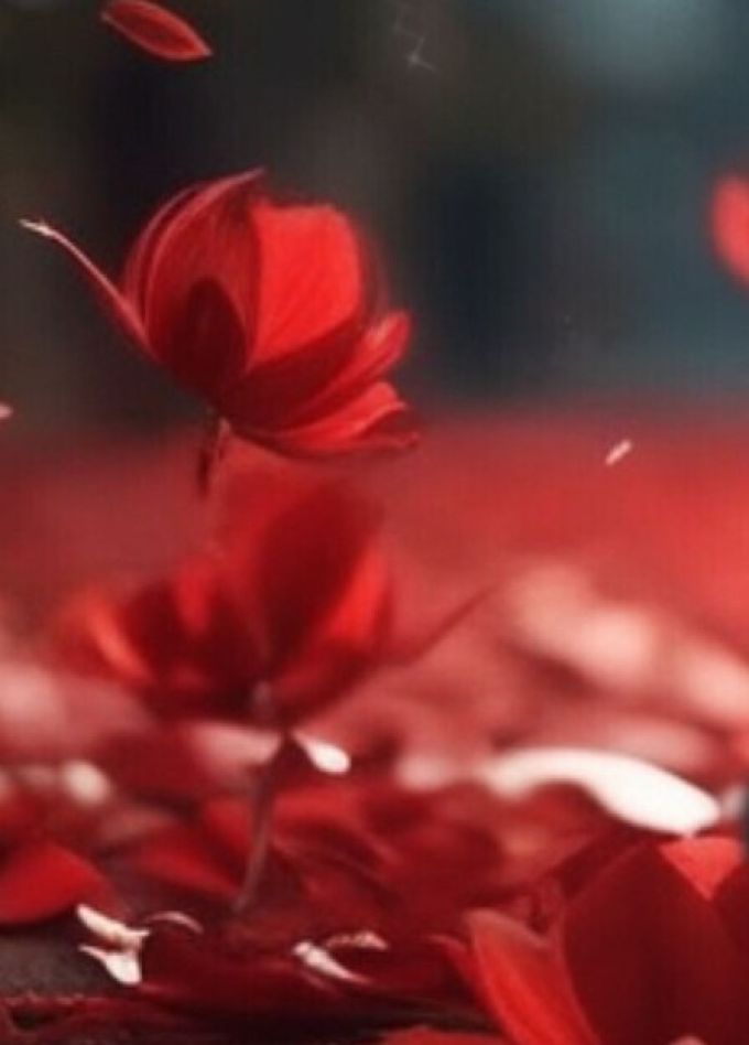 Концерт «Романтическая коллекция»