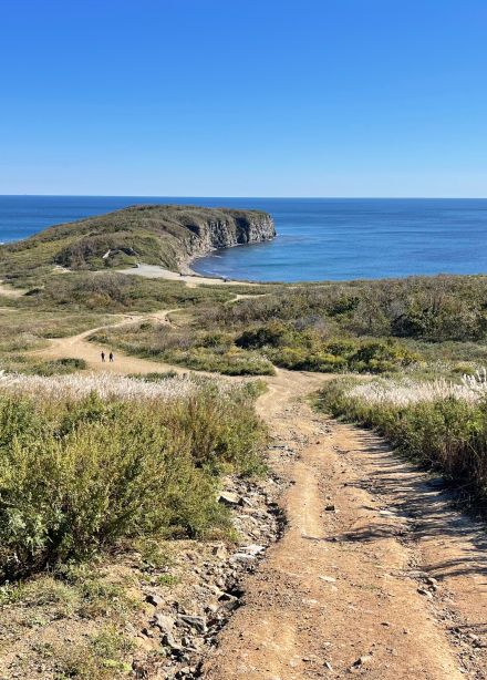 Тайны острова Русский за 5 часов