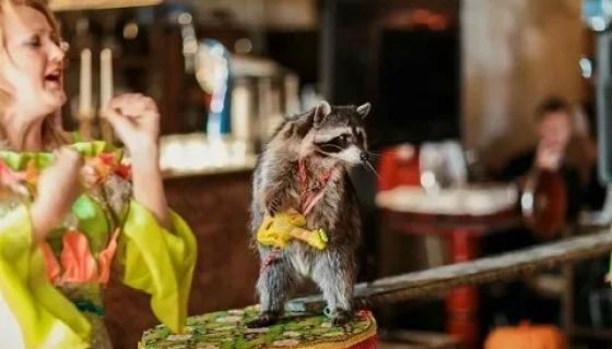 Цирк «Бруно», Находка