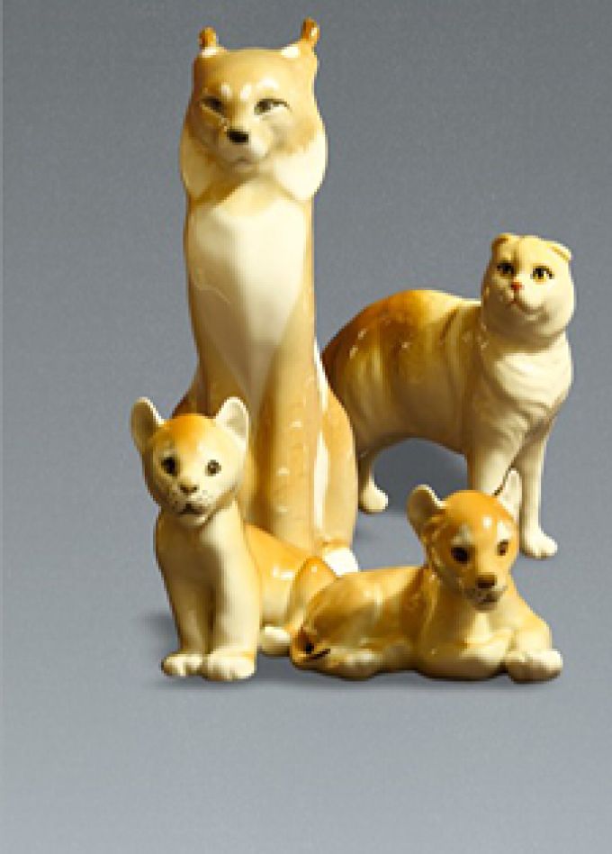 Кошки: домашние и дикие. Выставка