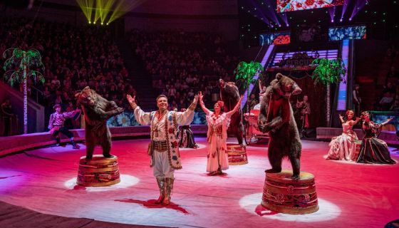 Цирк «Пять континентов»