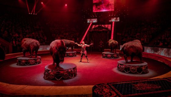 Цирк «Пять континентов»