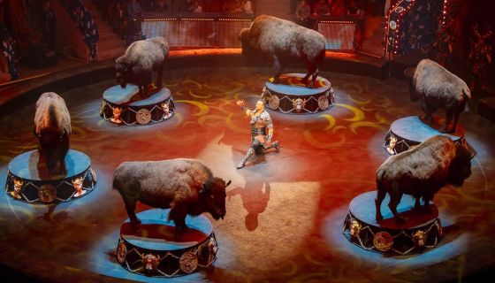 Цирк «Пять континентов»